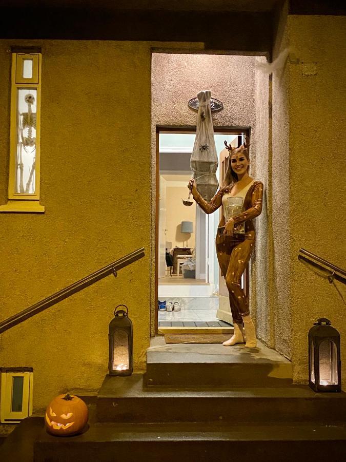 Casa Disa - Dreams, A Boutique Guesthouse In Reykjavik City'S Central Park And Botanical Garden In Laugardalur, Hot-Spring-Valley Ngoại thất bức ảnh