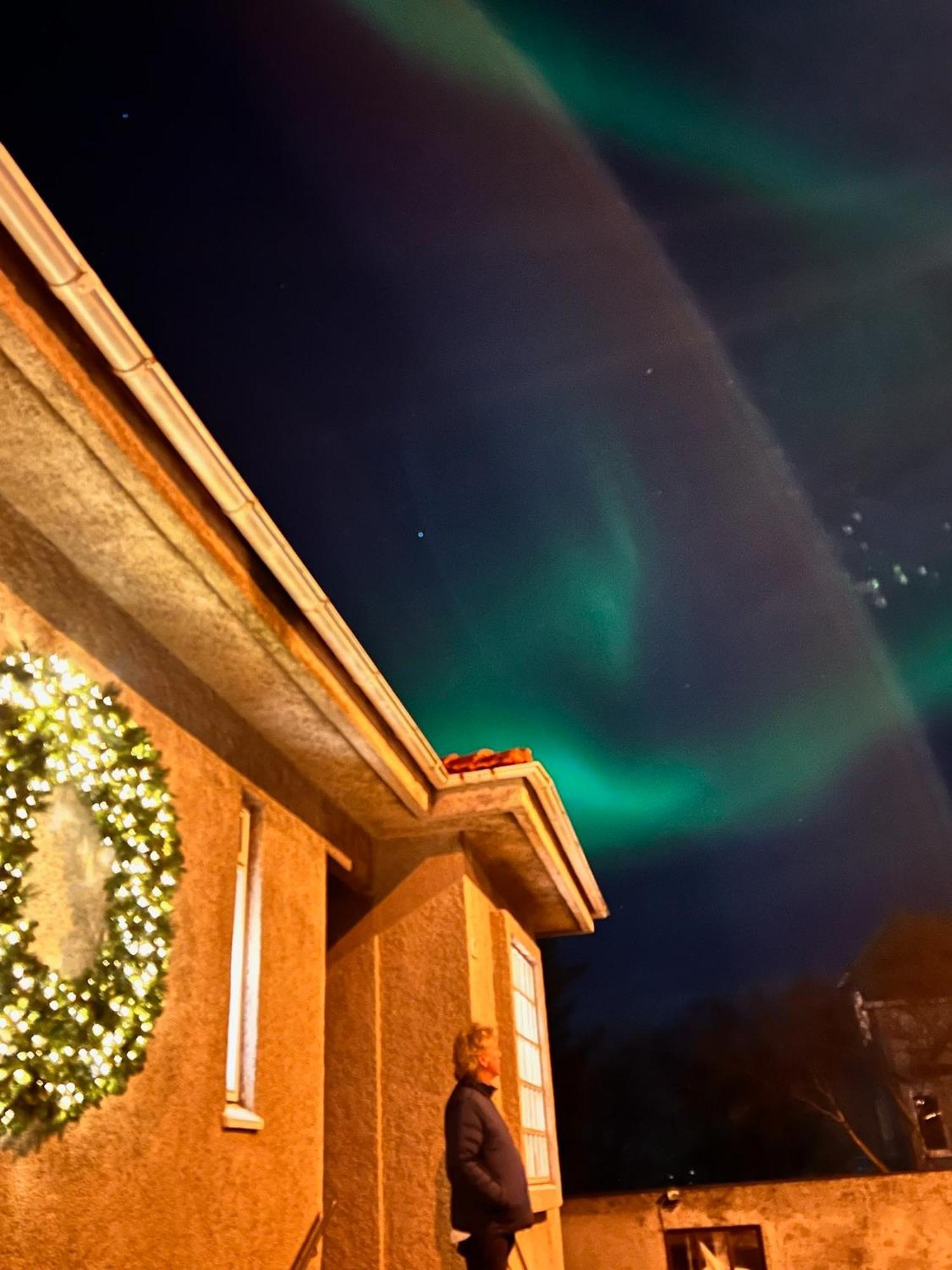 Casa Disa - Dreams, A Boutique Guesthouse In Reykjavik City'S Central Park And Botanical Garden In Laugardalur, Hot-Spring-Valley Ngoại thất bức ảnh