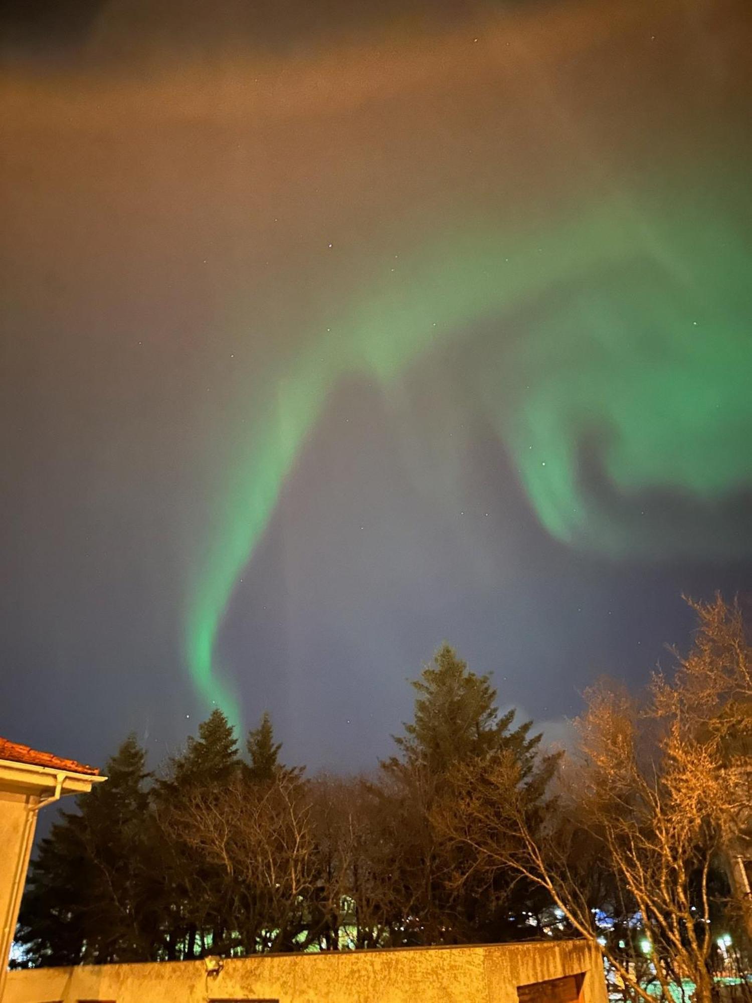 Casa Disa - Dreams, A Boutique Guesthouse In Reykjavik City'S Central Park And Botanical Garden In Laugardalur, Hot-Spring-Valley Ngoại thất bức ảnh