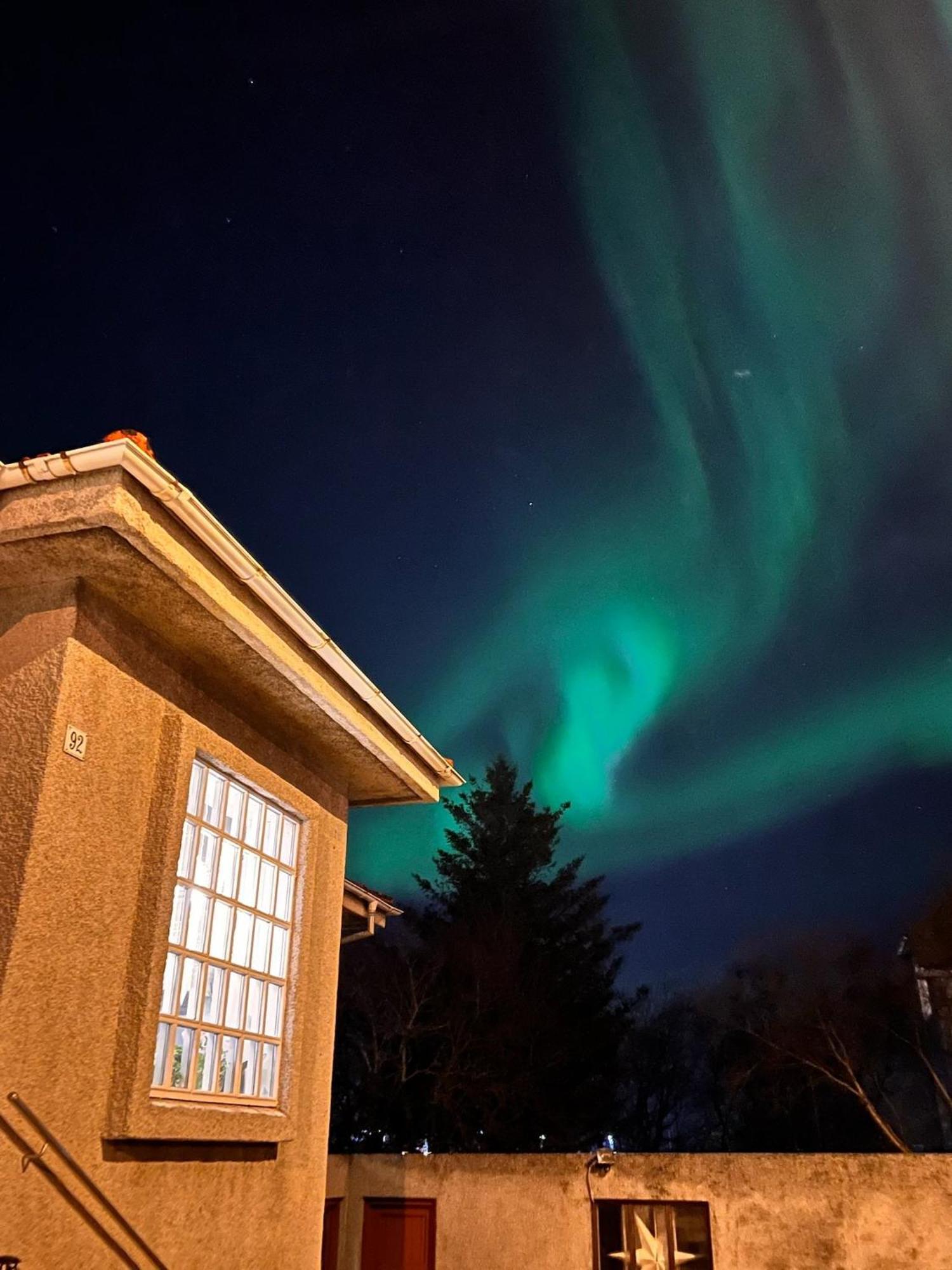 Casa Disa - Dreams, A Boutique Guesthouse In Reykjavik City'S Central Park And Botanical Garden In Laugardalur, Hot-Spring-Valley Ngoại thất bức ảnh