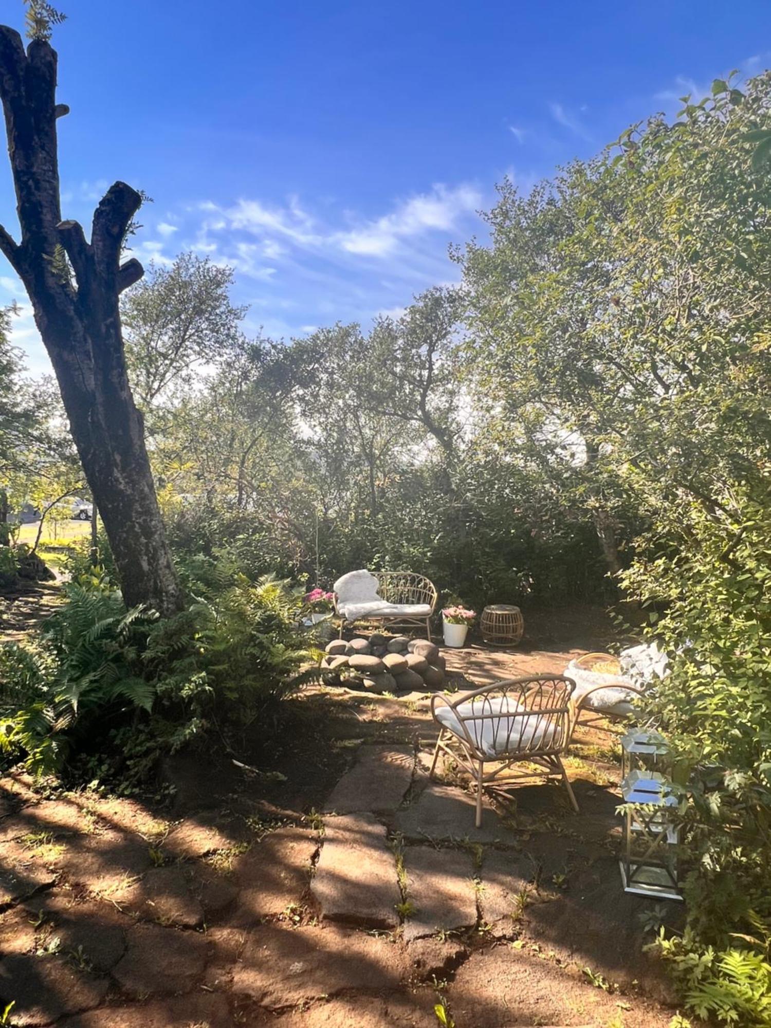 Casa Disa - Dreams, A Boutique Guesthouse In Reykjavik City'S Central Park And Botanical Garden In Laugardalur, Hot-Spring-Valley Ngoại thất bức ảnh